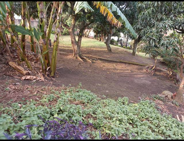 625M² VACANT LAND FOR SALE IN SEA COW LAKE